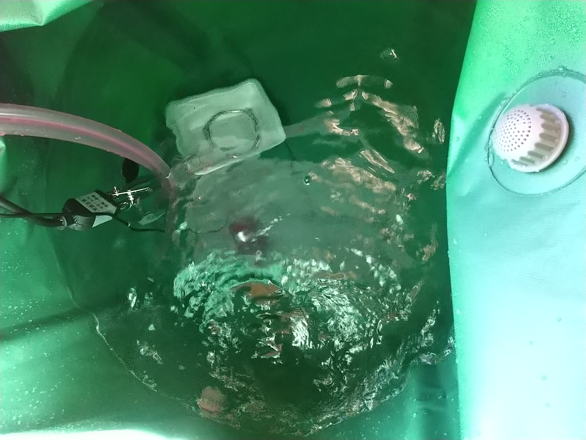 水タンク_内部