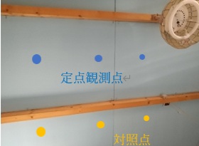 天井